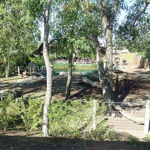 Elephant Encounter (from inside the brand-new restaurant)