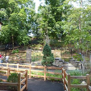 Overview of Wolf Exhibit (American Trails) 9-6-12