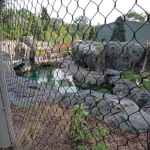 Seal Exhibit (American Trails) 9-6-12