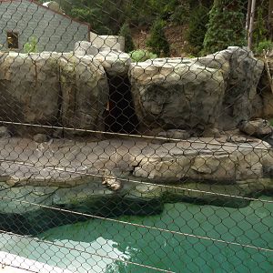 Center View of Seal Exhibit (American Trails)