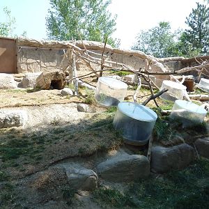 North American Porcupine Exhibit