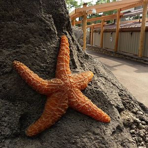 American Trails 9-6-12