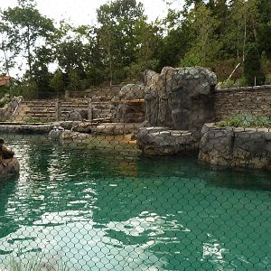 Sea Lion Exhibit (American Trails)