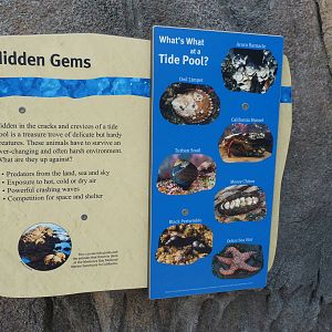 Sign at Wading Pool (American Trails)