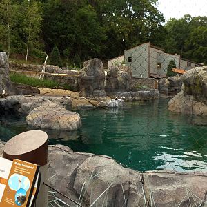 Sea Lion Exhibit (American Trails)