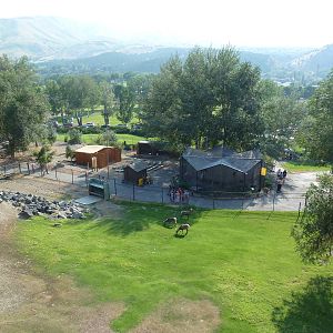Bighorn Sheep Exhibit