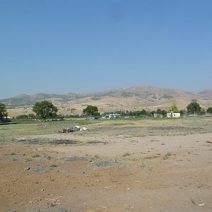 Bison/Elk/Pronghorn Antelope/White-Tailed Deer Exhibit