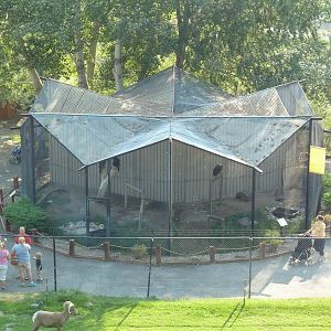 Bird of Prey Exhibits