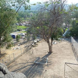 Rocky Mountain Goat Exhibits