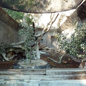 North American Porcupine Exhibit