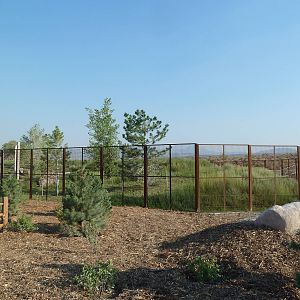 Grizzly Bear Exhibit (New in 2012)