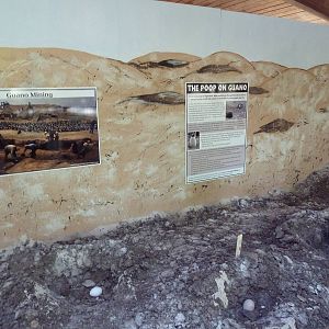 Penguin Plunge (Temporary Exhibit) - Signage