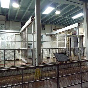 Reticulated Giraffe Barn