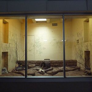 Beaded Lizard Exhibit