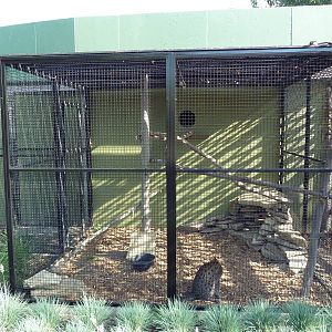 Fishing Cat Exhibit - Atrocious!