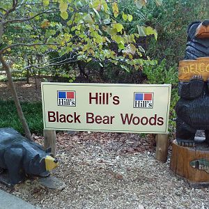 Black Bear Woods - Entrance Area