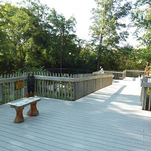 Black Bear Woods - Overlook Deck
