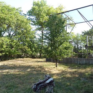 Pronghorn Antelope Exhibit + Golden Eagle Aviary