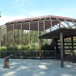 Kansas Carnivores - Cougar + River Otter Exhibits