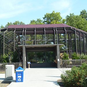 Kansas Carnivores - Cougar Exhibit