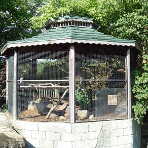 Bobcat Exhibit - Far Too Small!