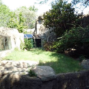 Gorilla Exhibit