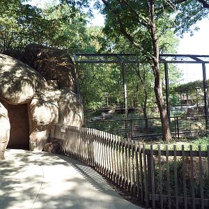 Lion Exhibit