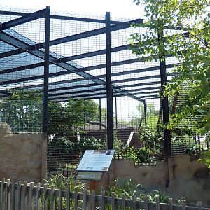 African Black Leopard Exhibit
