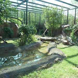 African Black Leopard Exhibit