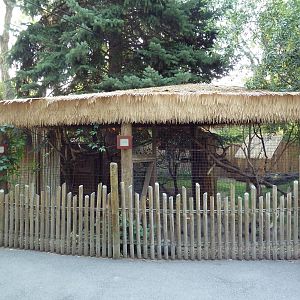 Prevost's Squirrel + White-Crested Laughing Thrush Exhibits