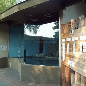 Penguin Cove - African Black-Footed Penguin Exhibit