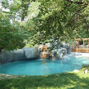 Penguin Cove - African Black-Footed Penguin Exhibit