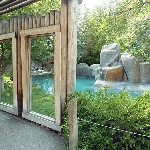 Penguin Cove - African Black-Footed Penguin Exhibit