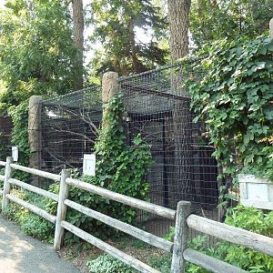 Scarlet Macaw + Coendou + Military Macaw Exhibits