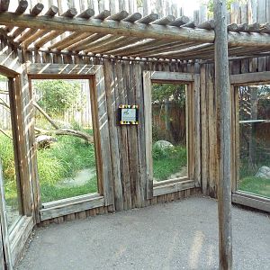 Serval Exhibit