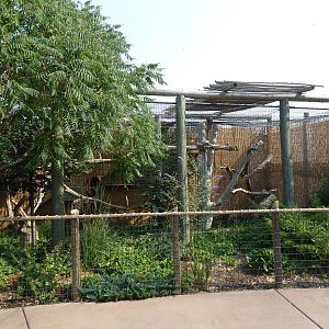 Red Panda Exhibit