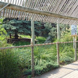 Snow Leopard Exhibit