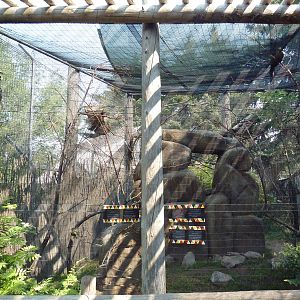 African Aviary (including rock hyrax)