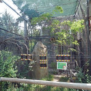 African Aviary