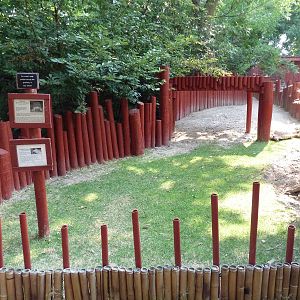 African Spurred Tortoise/Leopard Tortoise Exhibit