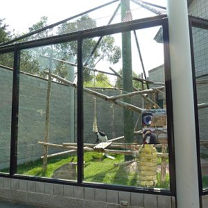 Primate Rotational Exhibit