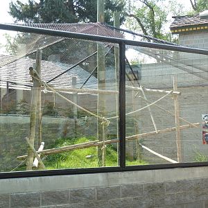 Primate Rotational Exhibit