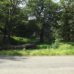 Lion exhibit at Knowsley Safari Park 08/09/12