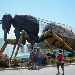 Summer Exhibit Xtreme Bugs