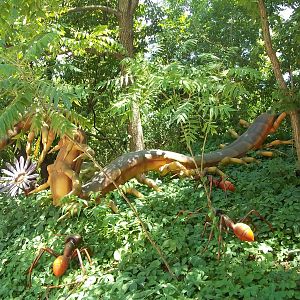 Summer Exhibit Xtreme Bugs