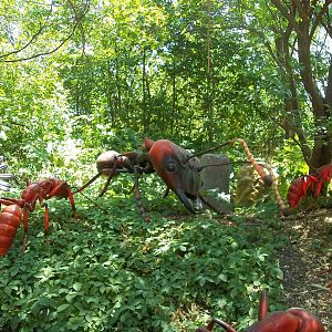 Summer Exhibit Xtreme Bugs