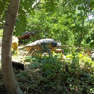 Summer Exhibit Xtreme Bugs