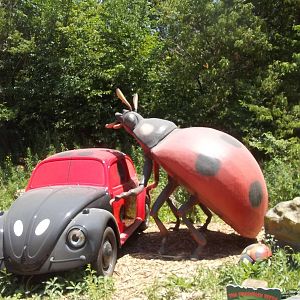 Summer Exhibit Xtreme Bugs