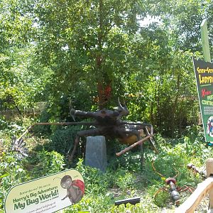 Summer Exhibit Xtreme Bugs