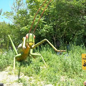 Summer Exhibit Xtreme Bugs